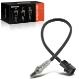 Lambdasonde vor Katalysator Frankberg 5481FB0017330