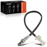 Lambdasonde vorne vor Katalysator Frankberg 5481FB0017331