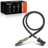 Lambdasonde vor Katalysator Frankberg 5481FB0017338