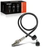 Lambdasonde vor Katalysator Frankberg 5481FB0017353