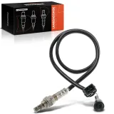 Lambdasonde vor Katalysator Frankberg 5481FB0017354