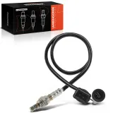 Lambdasonde vor Katalysator Frankberg 5481FB0017357