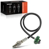 Lambdasonde vor Katalysator Frankberg 5481FB0017358