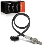 Lambdasonde vor Katalysator Frankberg 5481FB0017361