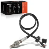 Lambdasonde vor Katalysator Frankberg 5481FB0017366