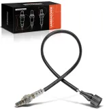 Lambdasonde vor Katalysator Frankberg 5481FB0017367