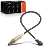 Lambdasonde vor Katalysator Frankberg 5481FB0017368