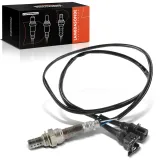 Lambdasonde vor Katalysator Frankberg 5481FB0017382