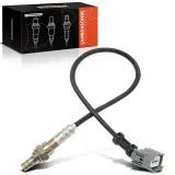 Lambdasonde nach Katalysator Frankberg 5481FB0017395