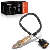 Lambdasonde vor Katalysator Frankberg 5481FB0017396