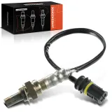 Lambdasonde vor Katalysator Frankberg 5481FB0017398