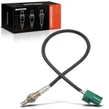 Lambdasonde vor Katalysator Frankberg 5481FB0017413