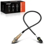 Lambdasonde vor Katalysator Frankberg 5481FB0017418