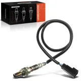 Lambdasonde vor Katalysator Frankberg 5481FB0017423