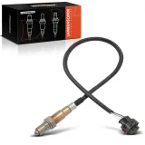 Lambdasonde vor Katalysator Frankberg 5481FB0017441