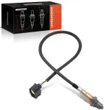 Lambdasonde vor Katalysator Frankberg 5481FB0017445