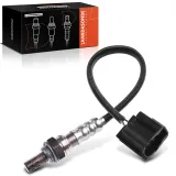 Lambdasonde nach Katalysator Frankberg 5481FB0017466