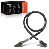 Lambdasonde vor Katalysator Frankberg 5481FB0017470