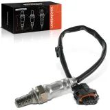 Lambdasonde nach Katalysator Frankberg 5481FB0017476