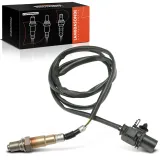 Lambdasonde vor Katalysator Frankberg 5481FB0017503