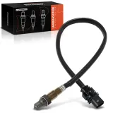 Lambdasonde vor Katalysator Frankberg 5481FB0017511