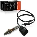 Lambdasonde vor Katalysator Frankberg 5481FB0017523