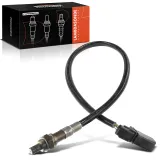 Lambdasonde vorne vor Katalysator Frankberg 5481FB0017524