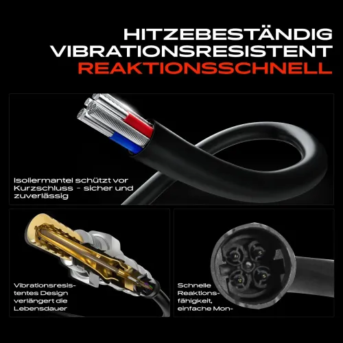 Lambdasonde vor Katalysator Frankberg 5481FB0017581 Bild Lambdasonde vor Katalysator Frankberg 5481FB0017581