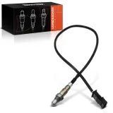 Lambdasonde vor Katalysator Frankberg 5481FB0017596