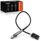 Lambdasonde vor Katalysator Frankberg 5481FB0017599