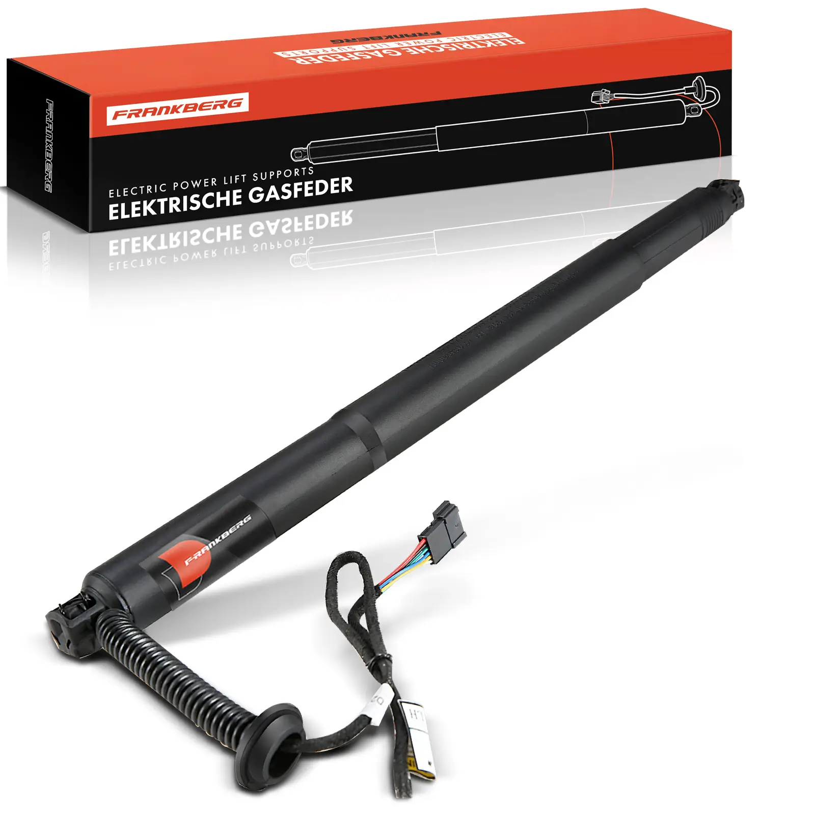 Gasfeder, Koffer-/Laderaum Frankberg 5481FB0017676