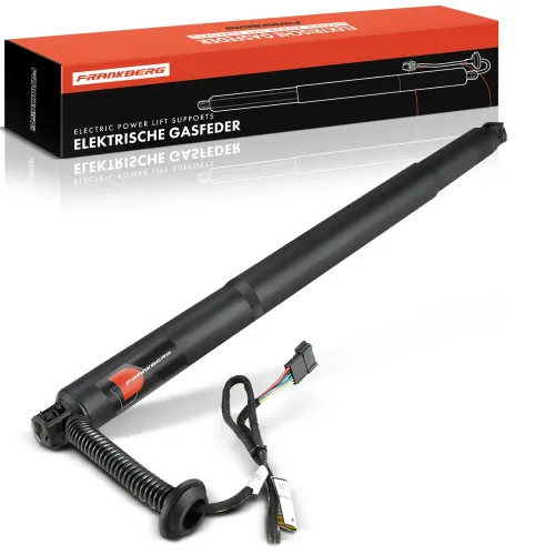 Gasfeder, Koffer-/Laderaum Frankberg 5481FB0017676 Bild Gasfeder, Koffer-/Laderaum Frankberg 5481FB0017676