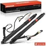 Gasfeder, Koffer-/Laderaum Frankberg 5481FB0017681