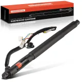 Gasfeder, Koffer-/Laderaum Frankberg 5481FB0017684