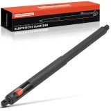 Gasfeder, Koffer-/Laderaum Frankberg 5481FB0017689