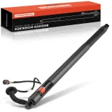 Gasfeder, Koffer-/Laderaum Frankberg 5481FB0017701