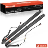 Gasfeder, Koffer-/Laderaum Frankberg 5481FB0017706