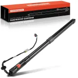 Gasfeder, Koffer-/Laderaum Frankberg 5481FB0017707