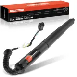 Gasfeder, Koffer-/Laderaum Frankberg 5481FB0017713