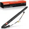 Gasfeder, Koffer-/Laderaum Frankberg 5481FB0017718