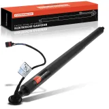 Gasfeder, Koffer-/Laderaum Frankberg 5481FB0017724