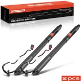 Gasfeder, Koffer-/Laderaum Frankberg 5481FB0017732