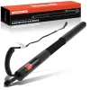 Gasfeder, Koffer-/Laderaum Frankberg 5481FB0017741