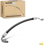 Hydraulikschlauch, Lenkung von Hydraulikpumpe nach Lenkgetriebe Frankberg 5481FB0018150