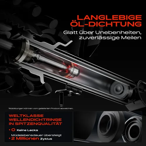 Stoßdämpfer Hinterachse Frankberg 5481FB0019386 Bild Stoßdämpfer Hinterachse Frankberg 5481FB0019386