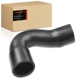 Kühlerschlauch vorne Frankberg 5481FB0021528