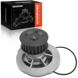 Wasserpumpe, Motorkühlung Frankberg 5481FB0023939