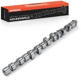 Nockenwelle Auslassseite Frankberg 5481FB0025611