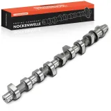 Nockenwelle Frankberg 5481FB0025613
