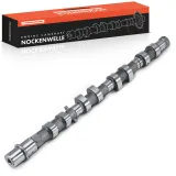 Nockenwelle Auslassseite Frankberg 5481FB0025616